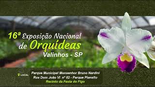 16º Exposição Nacional de Orquídeas em Valinhos SP [upl. by Arde]