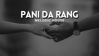 Pani Da Rang  Remix  Melodic House  Debb [upl. by Gallenz]