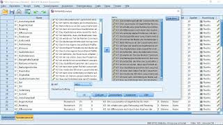 SPSS  Reliabilitätsanalyse  Cronbachs Alpha [upl. by Ticon289]