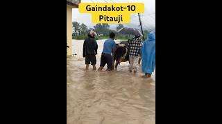 Narayani river flooding at Gaindakot 10 viralvideo travel trending youtubeshorts highlights [upl. by Daugherty581]