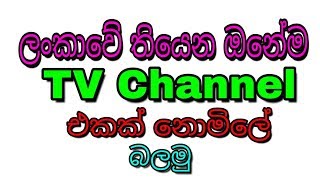 Sri Lanka All Tv Channel in 1 app 100 successful [upl. by Nessej]