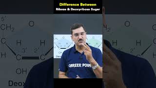 Difference between ribose and deoxyribose sugar biology shortvideo kotacoaching neet knowledge [upl. by Kokaras]