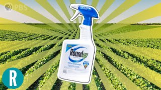 How Roundup Kills Weeds And How Weeds are Fighting Back [upl. by Trudi76]