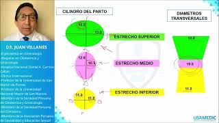 Pelvimetría  Planos de HODGE y LEE USAMEDIC  Obstericia 4 [upl. by Yerak]