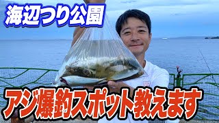 【横須賀海辺つり公園】アジが爆釣する場所と時間を詳しく解説！うみかぜ公園と違ってがら空き [upl. by Dynah]