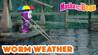 Masha and the Bear 2023 ☔ Worm weather 🌧️🪱 Best episodes cartoon collection 🎬 [upl. by Squires312]