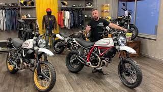 2019 Ducati Scrambler Desert Sled [upl. by Justis]