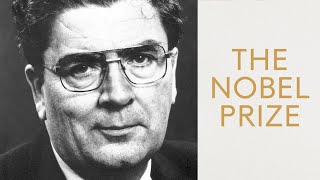 John Hume Nobel Peace Prize 1998 quotOur differences are an accident of birthquot [upl. by Innis]