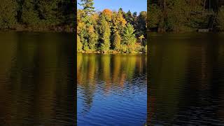 Muskoka River Fall Colors muskoka muskokalife fallcolors [upl. by Sumahs]