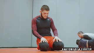 Anatomy of UFC 229 Khabib vs McGregor 20 Days Away [upl. by Odrareve191]