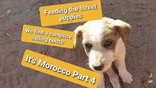 A stray puppy amp a campsite that sells booze Marocco Part 4 [upl. by Assirol]