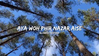 Aya Woh Phir Nazar AiseSlowedReverbsong [upl. by Douville]