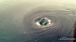 GIANT WHIRLPOOL COMPILATION WITH LINKS [upl. by Tcideneb569]