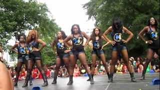 Sigma Gamma Rho Atlanta Greek Picnic 2012 [upl. by Oile]