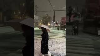 Tokyo Snowfall February 2024 [upl. by Japeth]