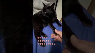 気のせいであって欲しい！【黒猫さんの気持ち】＃黒猫＃毛づくろい＃気のせい [upl. by Oluas]