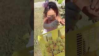 🥰😱 BEBÉ TRAVIESO y EL ABUELO RECOGEN CIRUELAS EN LA HUERTA 🤪🥰 viral [upl. by Trebma]