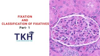 Fixation and Classification of Fixatives Part 1  Properties of fixative  Histopathology  DMLT [upl. by Ruscher]