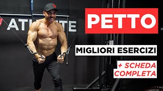 SCHEDA PETTO  Analisi migliori esercizi pettorali  scheda completa [upl. by Oderfliw]