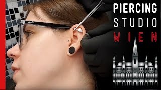 Piercing Fails  Industrial wächst raus  Marcs Piercing TV [upl. by Ardnikat]