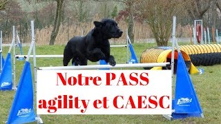 On a passé notre PASS agility et notre CAESC [upl. by Hajile539]