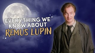 The Life of Remus Lupin  Deep Dive [upl. by Mccourt]