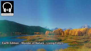 Living Colors  Musik für Naturfilme  Music for Naturefilms [upl. by Melda]