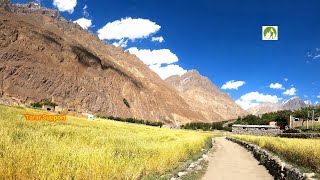 Shimshal Village Tour near Pakistan China Border 2020 [upl. by Menis]