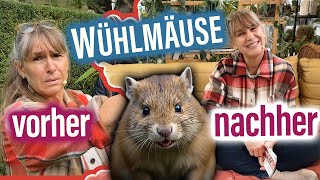 BlumenDEKO Herbst 🌹 Wühlmäuse im Garten 🐀  5 einmalblühende Rambler WURZELNACKT [upl. by Mosby357]