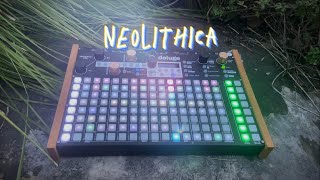 Neolithica Synthstrom Deluge Song Sketch AmbientDroneSoundscape [upl. by Pelagia748]