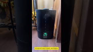 6L Humidifiers for Bedroom Large Room Home [upl. by Oj48]