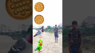 Rounding Oreo Biscuit to Duck Peacock Pigeonamp Parrot  Birds names magic video [upl. by Oilcareh]