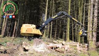 Tigercat 855D with a Ponsse H8 HD Harvesting Head [upl. by Susette]