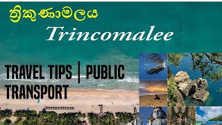 Trincomalee Public Transport Travel Guide  2 Days  Trincomalee  Sri Lanka  Journey 01 [upl. by Endo791]