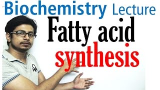 Fatty acid synthesis [upl. by Buderus]