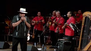 quotLa Brujaquot son jarocho with Chicago Blues featuring Billy Branch [upl. by Stig]