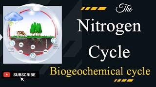 Nitrogen Cycle ExplainedHow nitrogen changes life on earthEnvironmental science [upl. by Aneehsak179]