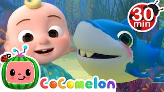 Baby Shark  CoComelon  Kids Cartoons amp Nursery Rhymes  Moonbug Kids [upl. by Nomor741]