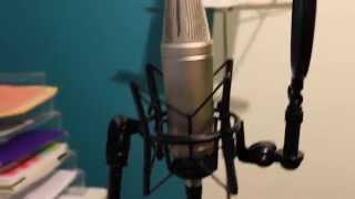 Set Up Rode NT2A Microphone [upl. by Arny]