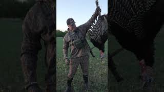 Turkey Hunting Highlights Part 1 [upl. by Ragg]