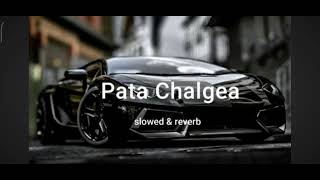 PATA CHALGEA  SLOWED amp REVERB  SONG ❤️ [upl. by Behlke]