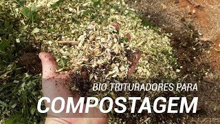 Trituradores de galhos para compostagem Lippel  Teste de vários modelos [upl. by Jacquelyn587]