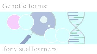 Genetics Terms Homozygous Heterozygous Genotype amp Phenotype [upl. by Yasnil]