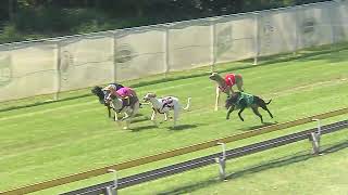 CapalabaWednesday18092024Race3 [upl. by Natsuj]