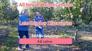 A Late October Visit To The Orchard Proves Rewarding On All New At Zaiger Genetics [upl. by Roldan]