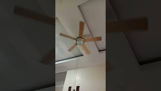 Westinghouse ceiling fan startup [upl. by Bal]