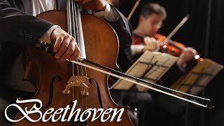 Beethoven Classical Music for Studying Concentration Relaxation  Study Music  Instrumental Music [upl. by Erina]