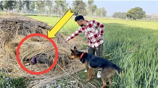 झड़ी में ये क्या हो रहा है 😂😂😂😁newvideo cutelovestory [upl. by Maier824]