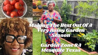 Weekly Vlog Making The Best Out Of A Rainy Gardening Season Granddaughter’s Graduation Celebration [upl. by Nywg462]