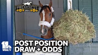 Post position draw for 2024 Preakness [upl. by Bee]